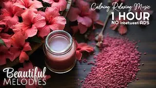 1 Hour of Music to Ease Tension 🌿 Calm the Mind & Restore Inner Peace | Relax & Unwind