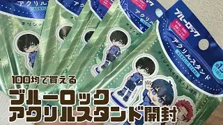 念願の出会いだったので大人買いしたオタクのランダム開封。