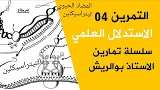 تمرين الإستدلال تأثير المضادات الحيوية على تركيب البروتين