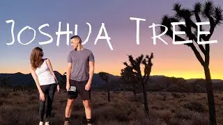 Joshua Tree National Park Day Trip Guide | Hikes, Pioneertown, Dinosaurs, and Buffoonery!