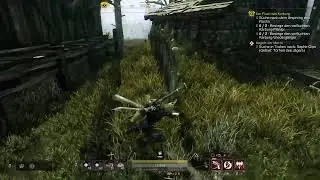 New World: Aeternum  #064 - Auf der suche nach der Leichenhexe.