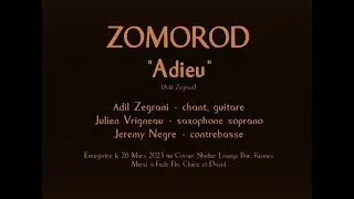 Zomorod  - Adieu - 2023 (radio edit)