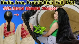 100% Original Homemade Bhringraj Shampoo & Protein,Biotin,Iron Rich Diet To Regrow Hair।Garima Singh