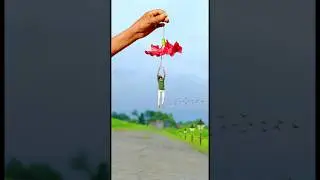 Creative videography Flower 🌺👀👈... #shorts #shortvideo #comedy #photography #trending #videoediting