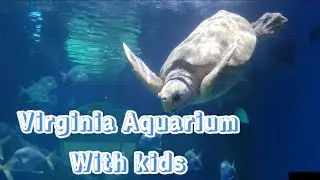 Virginia Aquarium With Kids | Virginia Beach