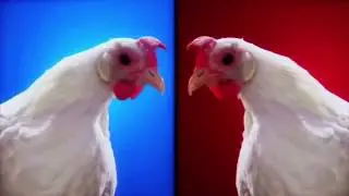 Techno Chicken Song Lengthened Version