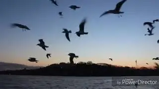 Tural Həsənli-Ölüm var (şeir)