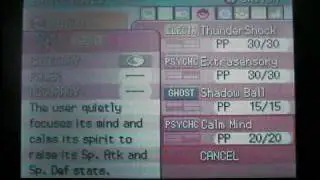 Official Trophy Pokemon SweepStakes-Raikou*