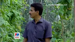 അമ്മയും അച്ഛനും മക്കളും കൃഷിക്കാർ; നൂറു മേനി കൊയ്ത് കോട്ടയത്തെ കാർഷിക കുടുംബം | Kottayam Agriculture
