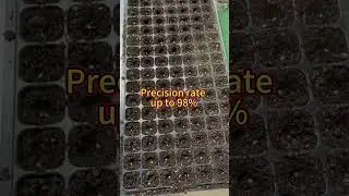 Nursery seeding machine has fast speed #seedling #machine #vegetables #agro #nursery #greenhouse