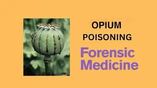 Opium poison (demo video) | Forensic Medicine | Bangla demonstration of Opium | Poison Board |