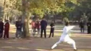 Wudang Kungfu－Long Hua Quan (Wudang Dragon Form) 武当龙华拳