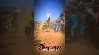 sampath King boys Bull catching Thiyagarsanaplli #jallikattu #haveri #hallikarbulls #hosur