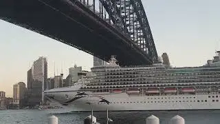 A cruise ship under Sydney Harbour Bridge