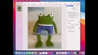 C&oacute;mo crear GIF animados y videos gratis en tu Mac.