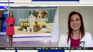 Budgeting for your Pet