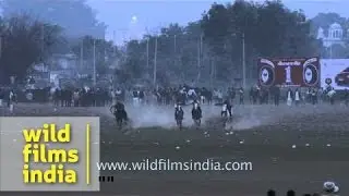 Kila Raipur : Mule cart racing competition