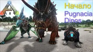 ОЧЕНЬ БЫСТРЫЙ СТАРТ| ARK PUGNACIA DINOS  #1