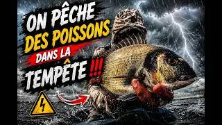 [Etang de thau] On pêche des dorades  et loups dans la tempête!!!( tenya et leurres)
