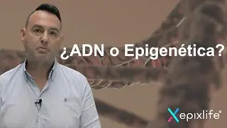 &iquest;Cu&aacute;l es la diferencia entre un Test de ADN y un Test Epigen&eacute;tico?