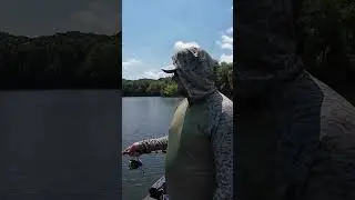 3 способа поймать трясущуюся голову!