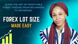 FOREX LOT SIZE MADE EASY: THE COMPLETE BEGINNER'S GUIDE