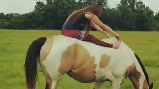 Horse & Yoga Flow