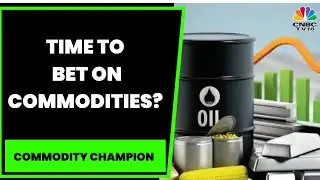 Spotlight On Commodities: Which Sector Should You Bet On? Experts Discuss | Commodity Champion
