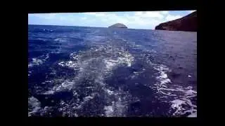 Daniel WERY - PECHE au GROS à l'ILE RONDE - Mars 2012