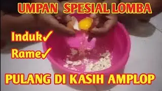 UMPAN IKAN MAS SPESIAL LOMBA,INDUKAN ATAU IKAN RAME MAKAN || Langsung tes