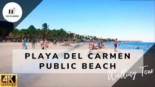 Relaxing Beach Walk in Playa Del Carmen, Afternoon Vibe and Sounds of Ocean |  Mexico 2021| 4K