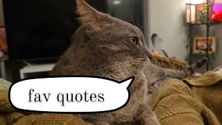 My Favorite Quotes from 