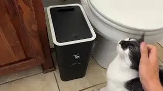 XPIY Trash Can with Lid, Small Trash Can Dog Proof, Plastic Trash Bin, Waste Basket Review