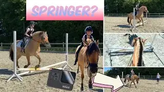 Sidste dag inden sommerferien! -Vi springer?