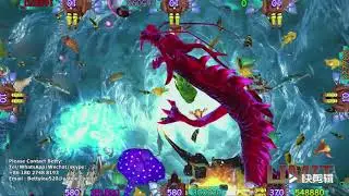 Red Dragon 3d fishing game hunter arcade machine supplier
