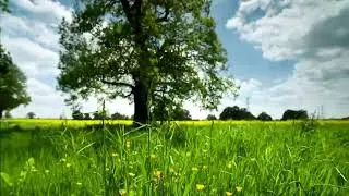 Connect with Nature