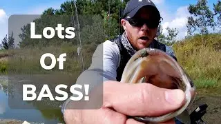 10 Bass Day while using Tech Guy Fishing Baits!