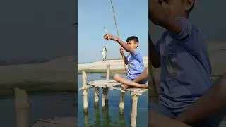 Massive Fish Caught Using Hub Hook #fishing