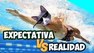 CLAVADOS expectativas vs realidad 2.0 .TMP
