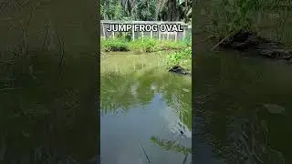 action tes jump frog oval #fishing #castinggabusbesar #mancing #chastinggabus #mancingmania