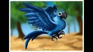 Rio. im blue.. BLUE MACAW 1 REMIX...