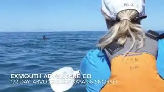 Exmouth Adventure Co