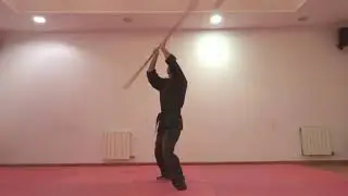 BO JUTSU KEIKO SABAKI (NINJUTSU BUJINKAN TERRASSA)