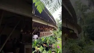 Ecolodge Bukit Lawang, North Sumatra, recommended for those who want to stay in Bukit Lawang.