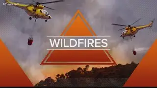 Wildfires in Arizona update for June 20