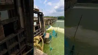 Fishing #net fishing