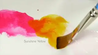 Explore vibrant, versatile Drawing Inks | Winsor & Newton