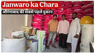 Farukh bhai ke Shop pe milega janwaro ka sabhi type ka chara औरंगाबाद की सबसे पहले दुकान