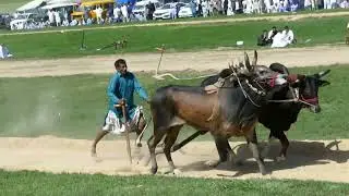 سلانہ میلا پنچ پیر بادشاہ ٹھیکریاں چکسواری Mela panj peer badsha chakswari 26/3/2022 part 3