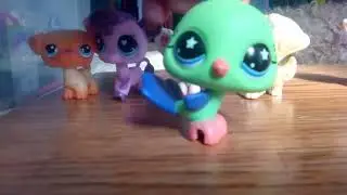 Collection video